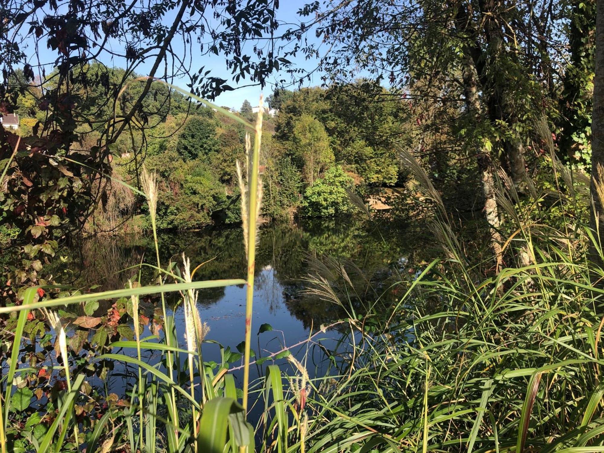 Demeure De Charme Vue Riviere Perigueux Piscine Parking B&B 외부 사진